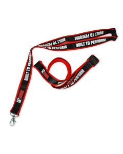 Lanyard